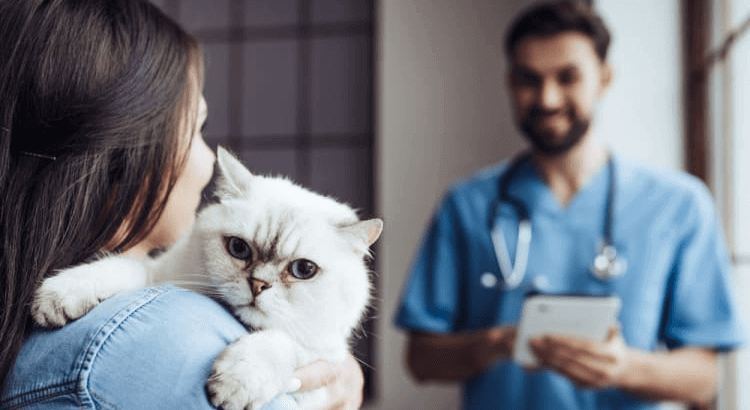 Consider Neutering