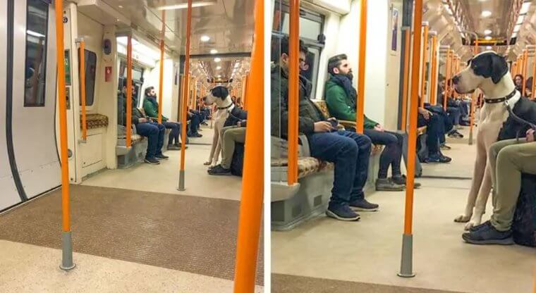 Riding the Train Home on the Way From A Party Is Like: