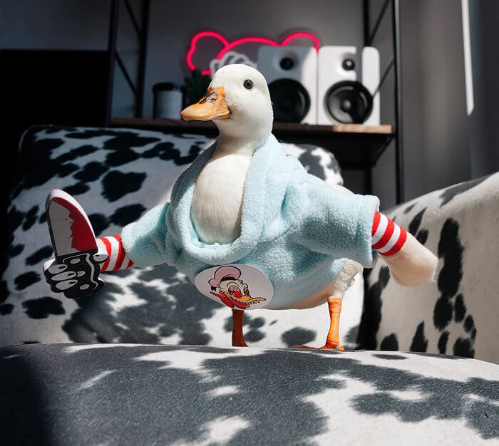 The Curse of the Ducky