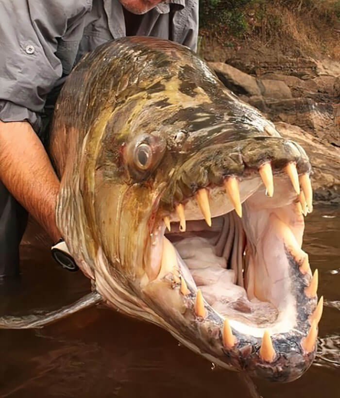 River Monsters In Real Life