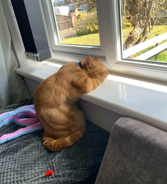 Bird Watching Is Tiring