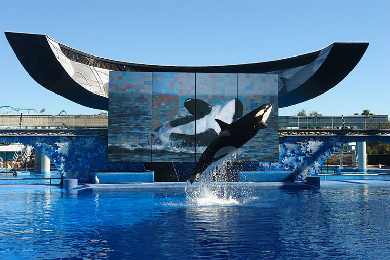 SeaWorld Is Just Sad