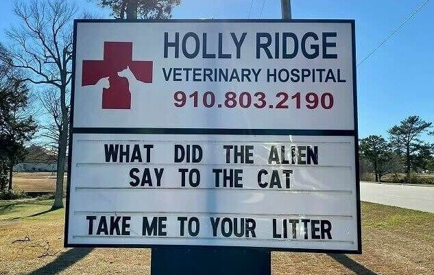 Out of This World Puns