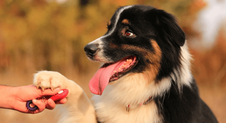 You're Using Your Clicker Too Much