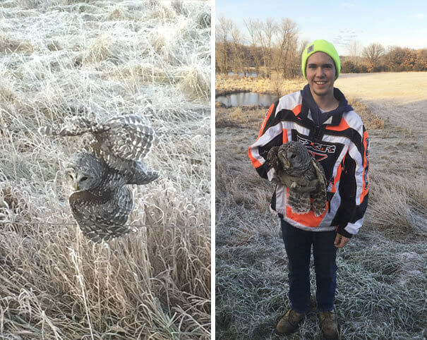 A Successful Friendly Owl Rescue