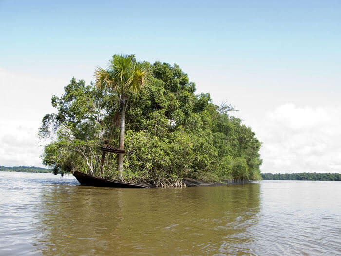 A Wrecked Ship Was Reclaimed By Nature