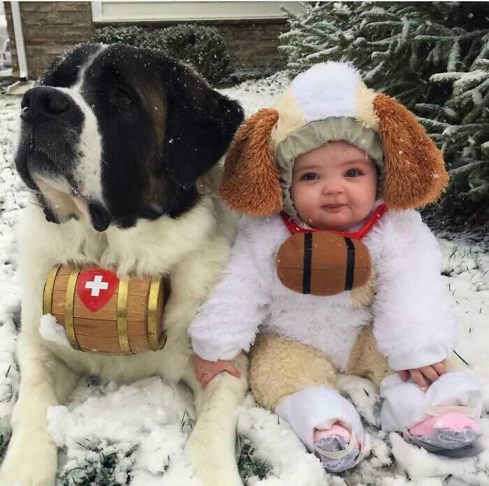 A Winter Wonderland Moment