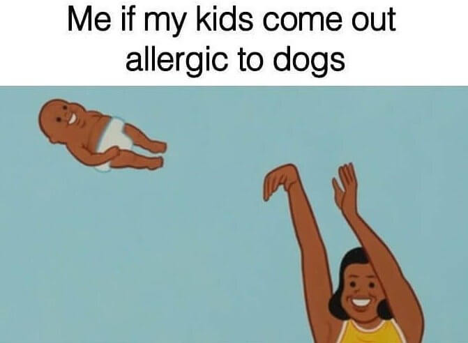 The Kids Better Not Be Allergic to Dogs