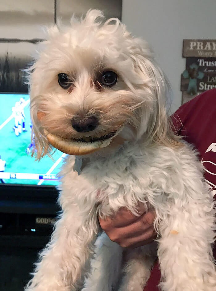 Look at That Smile