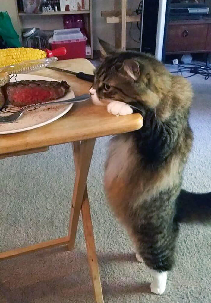 A Steak Belly