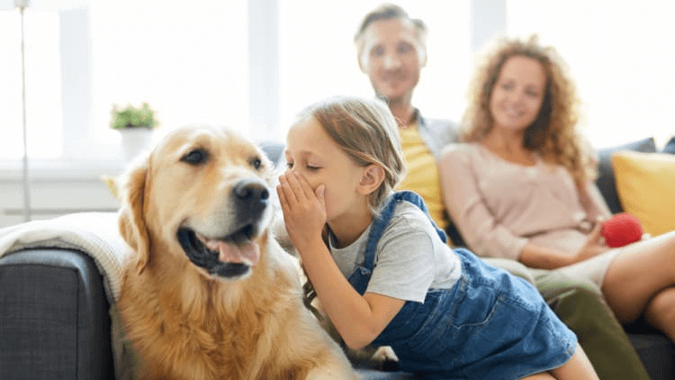 Pets Are Good For Social Skills