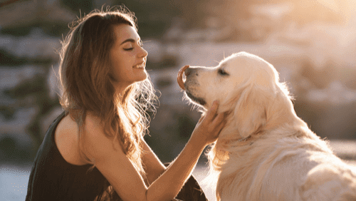 Each Dog Has Its Unique Personality