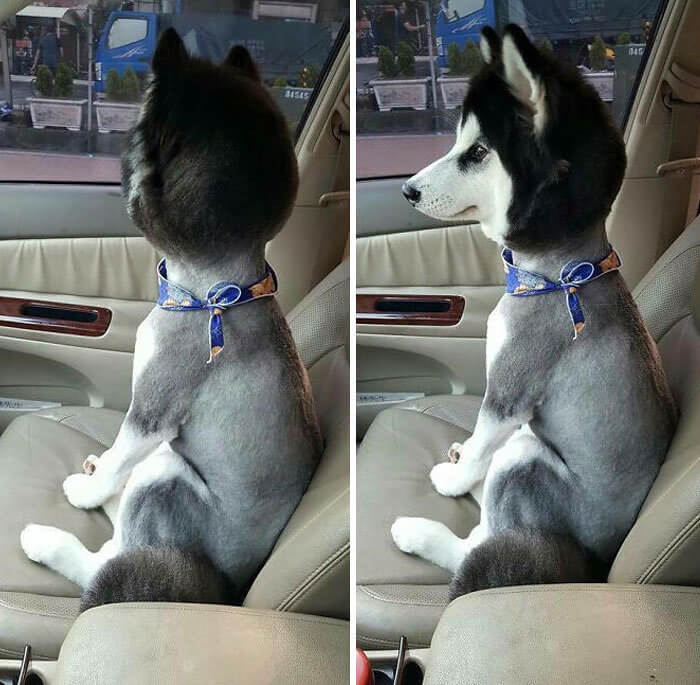 This Driver Got Himself the Most Realistic Bobblehead for His Car
