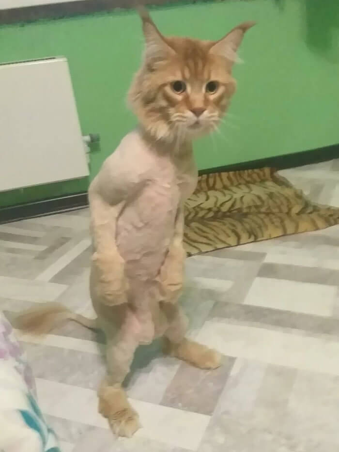 A Face That Says "give Me Back My Clothes"