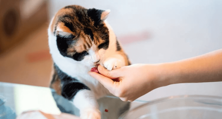 Use Positive And Negative Reinforcement