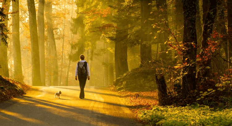 Pets Can Get You Outdoors