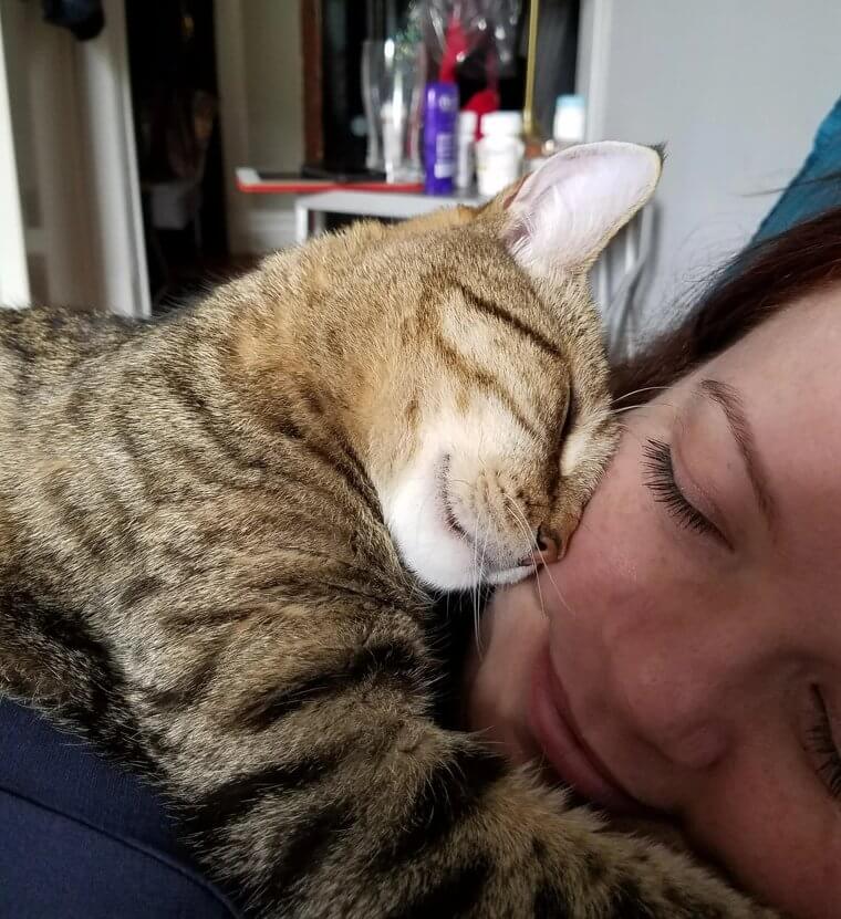 Cats Love Cuddles Just as Much as Dogs