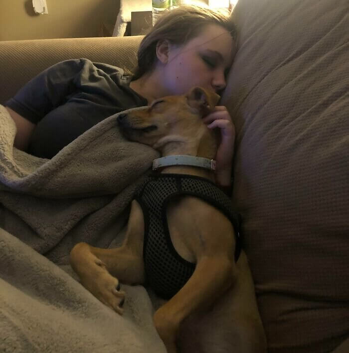 Adopt, Don't Shop