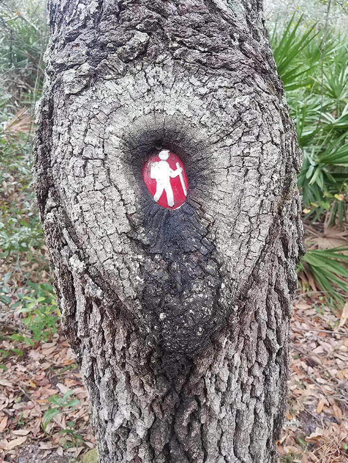 The Tree Left The Most Important Part Of The Sign Visible