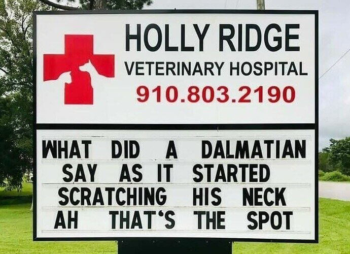 That's Some Spot-On Humour