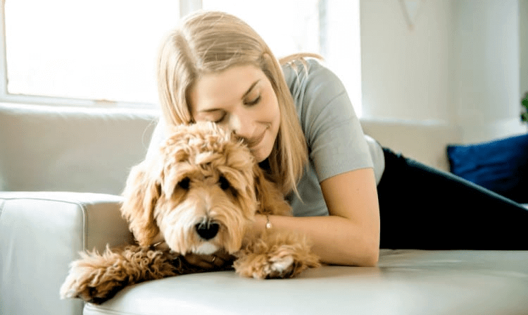 You Want To Make Your House A Home